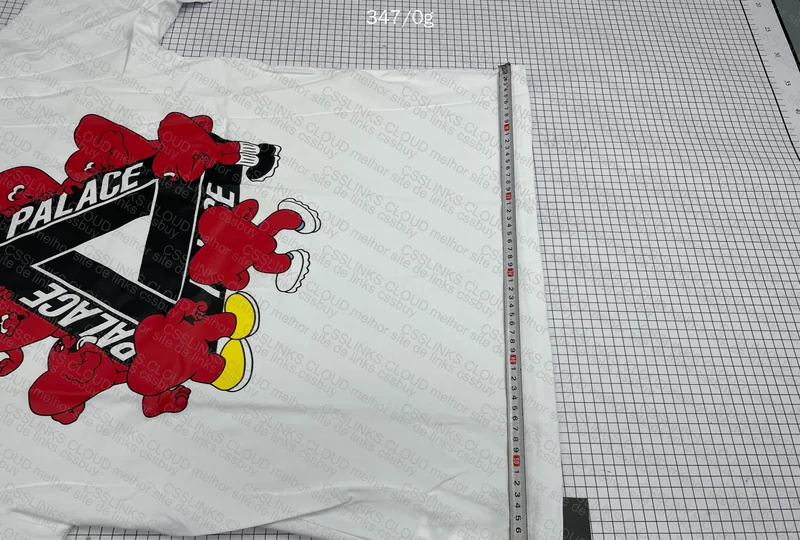 Palace Shirt