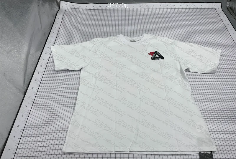 Palace Shirt 3