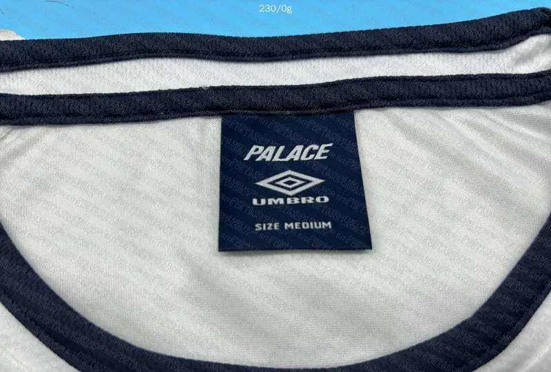 Palace Shirt 2