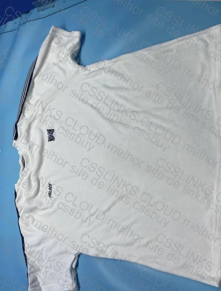Palace Shirt 2