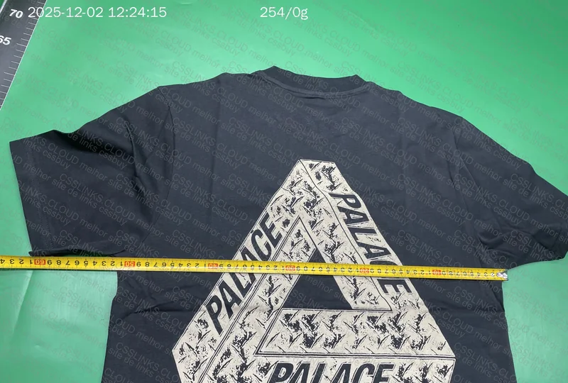 Palace Shirt 2