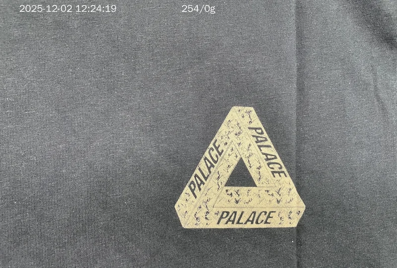 Palace Shirt 4