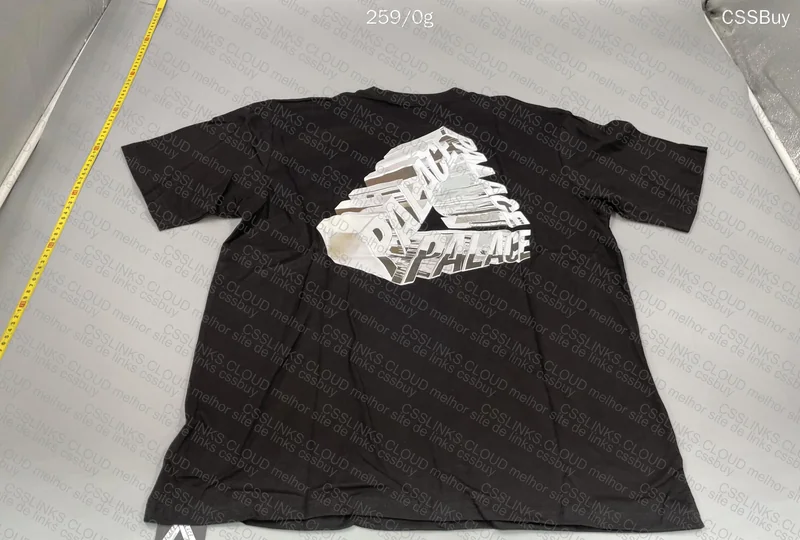 Palace Shirt (GL?) 2