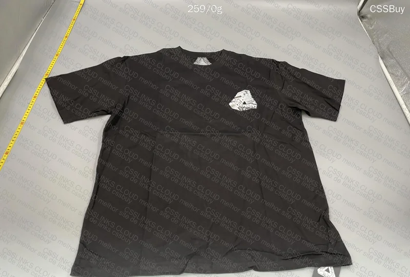 Palace Shirt (GL?) 5