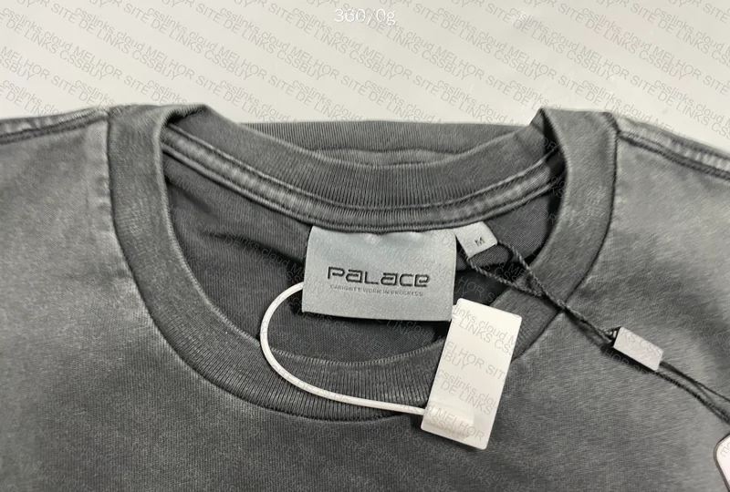 Palace x Carhartt Shirt 2