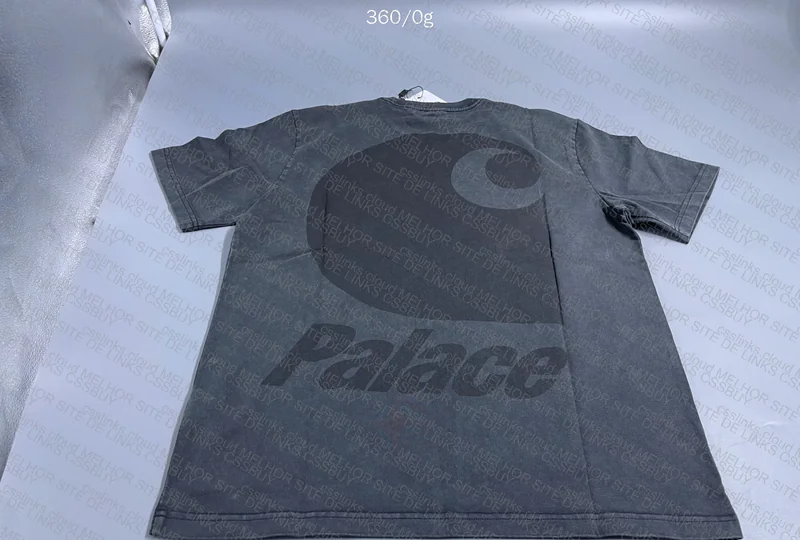 Palace x Carhartt Shirt 5