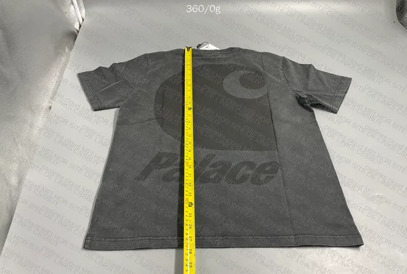Palace x Carhartt Shirt 9