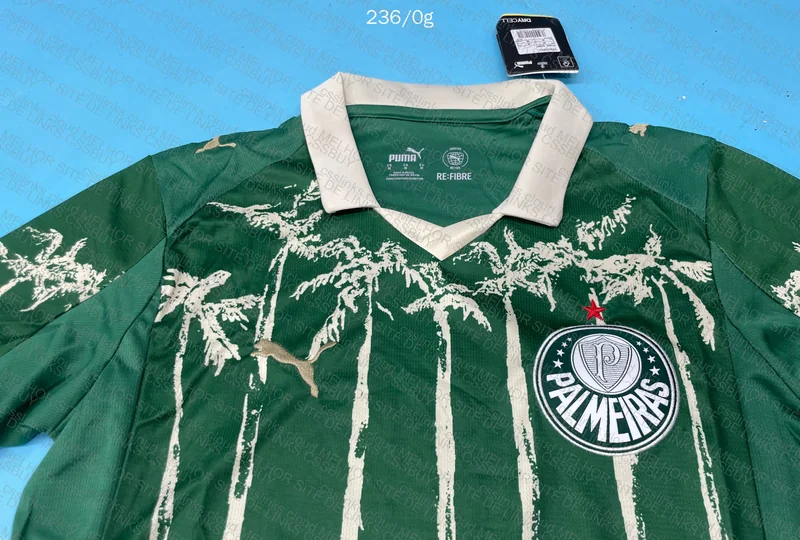 Palmeiras Shirt 2