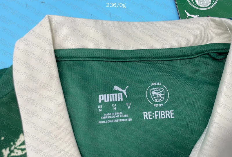 Palmeiras Shirt 4