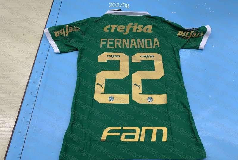 Palmeiras Shirt 2