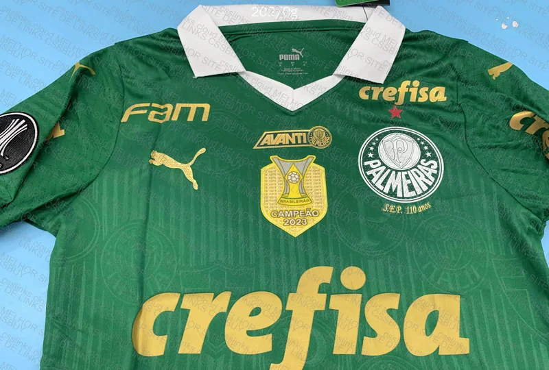 Palmeiras Shirt 3