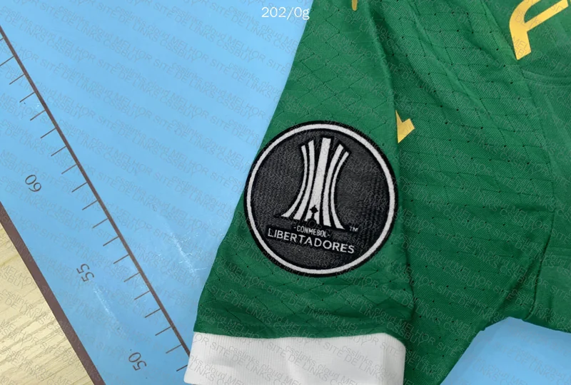Palmeiras Shirt 4