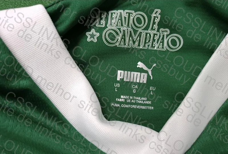 Palmeiras Shirt