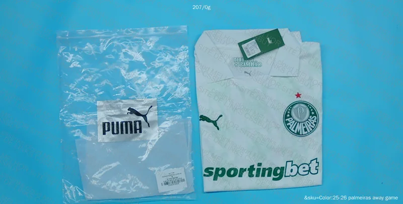 Palmeiras Shirt 2