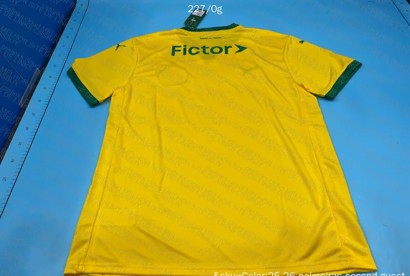 Palmeiras Shirt