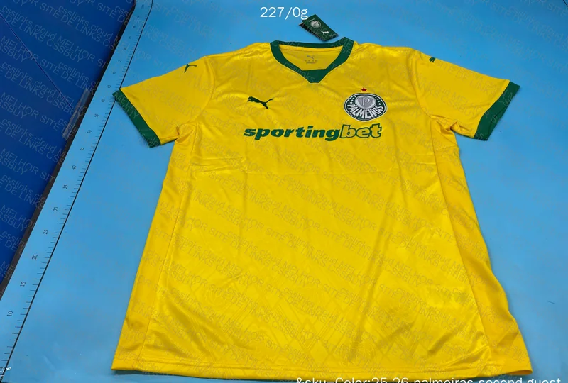 Palmeiras Shirt 2