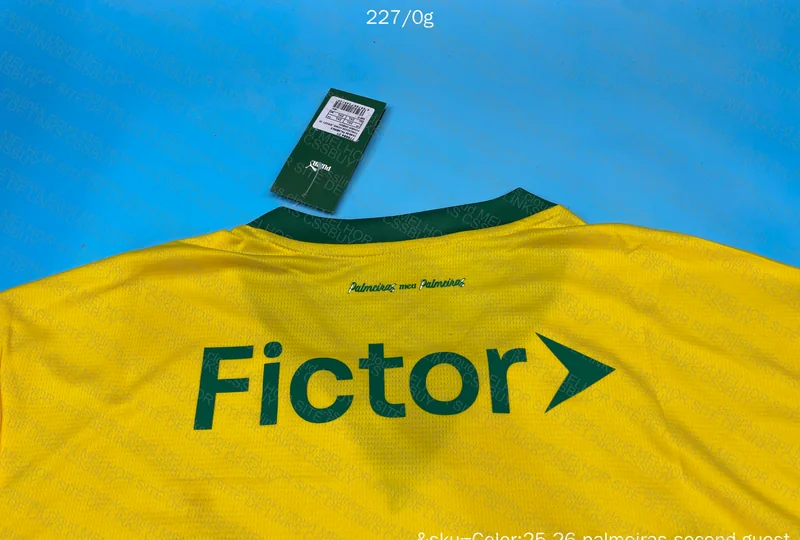 Palmeiras Shirt 4