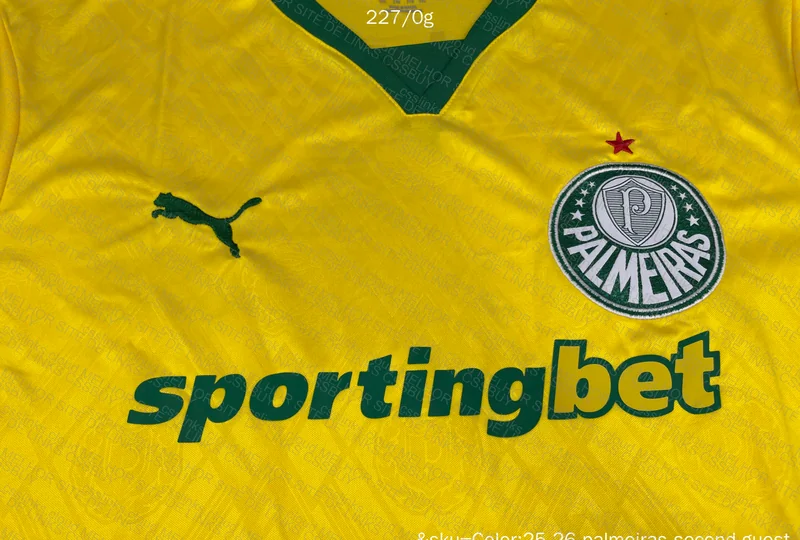 Palmeiras Shirt 5