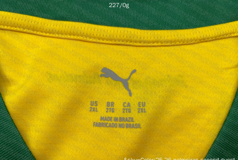 Palmeiras Shirt 6