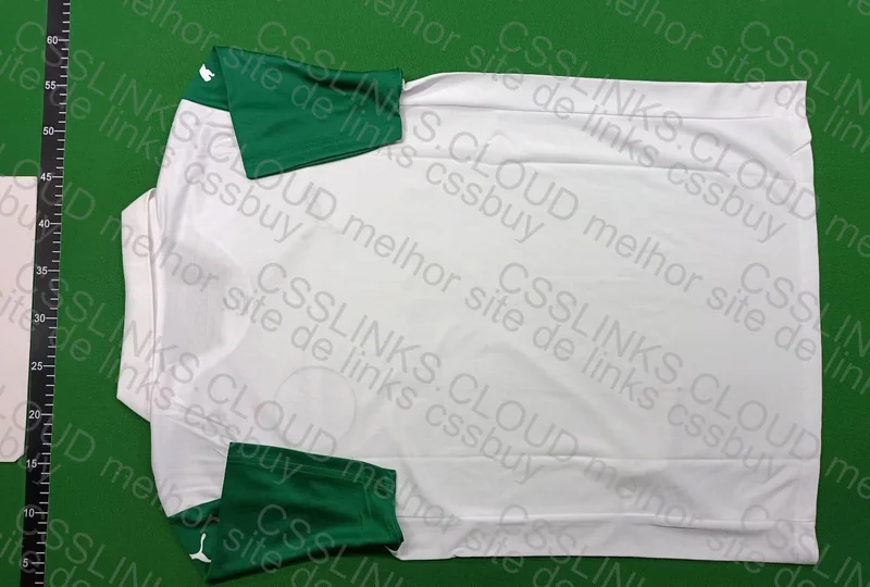 Palmeiras Shirt 2
