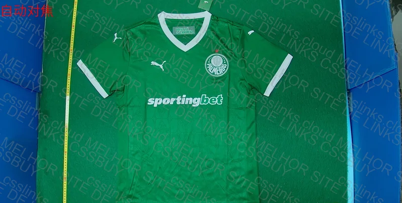 Palmeiras Shirt