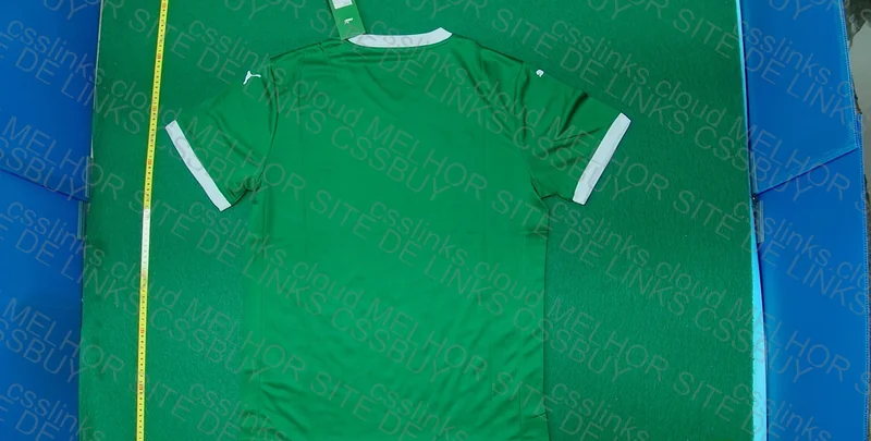 Palmeiras Shirt 3
