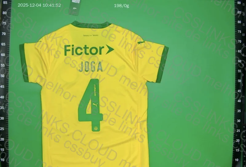 Palmeiras Shirt