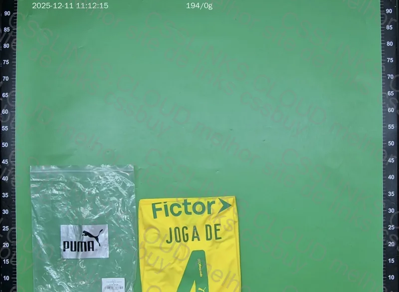 Palmeiras Shirt 2