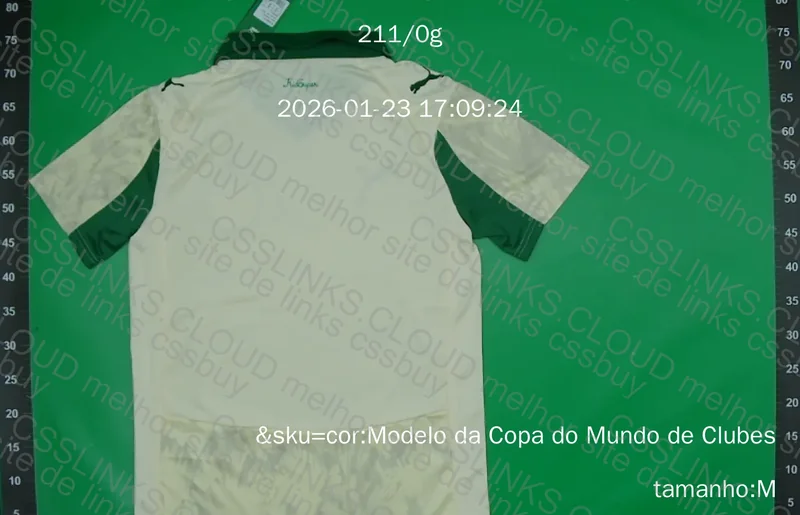CAMISA PALMEIRAS 2