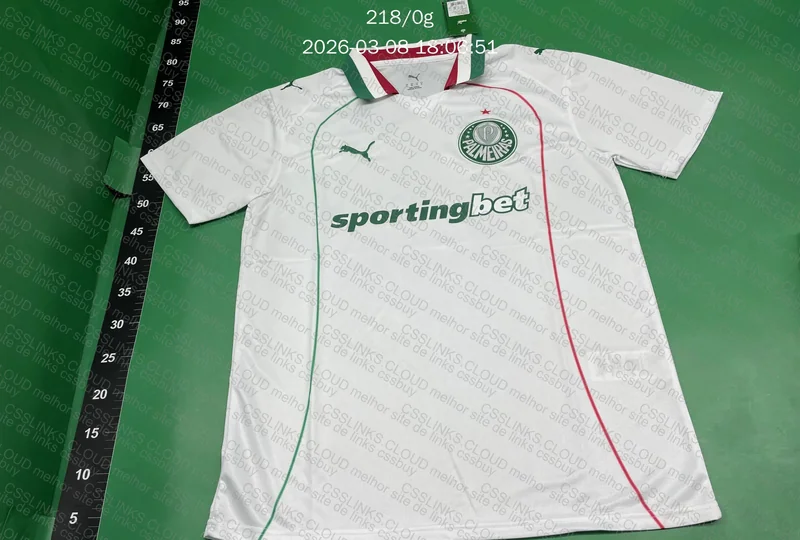 Camisa palmeiras 2