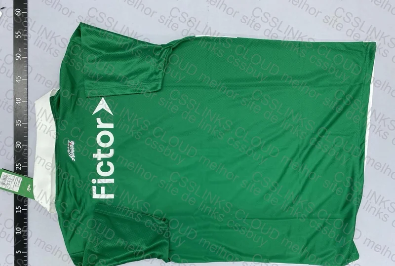 Camisa Palmeiras 2