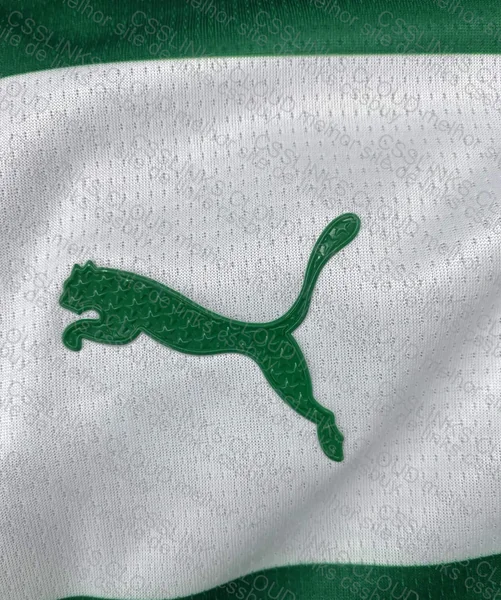Camisa Palmeiras 4