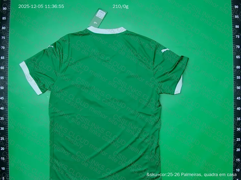 Palmeiras 2025 Shirt