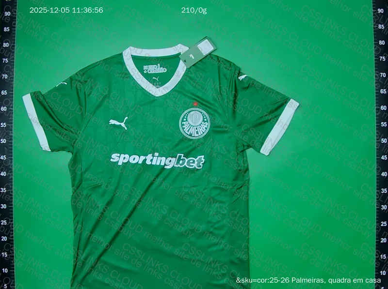 Palmeiras 2025 Shirt 2