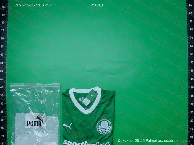 Palmeiras 2025 Shirt 3