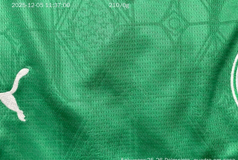 Palmeiras 2025 Shirt 4