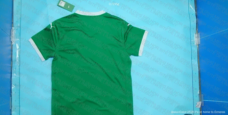 Palmeiras 25 Shirt 2