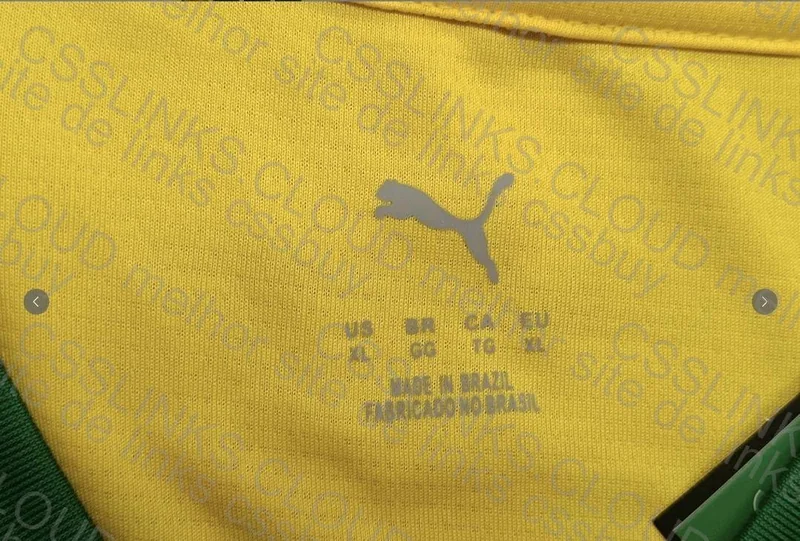 Palmeiras 25 Third Shirt
