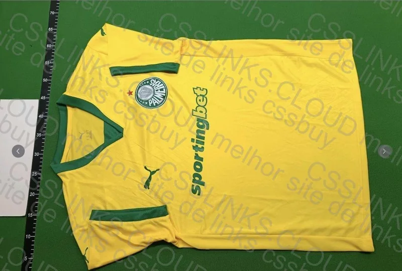 Palmeiras 25 Third Shirt 2