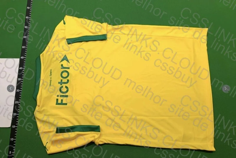 Palmeiras 25 Third Shirt 3