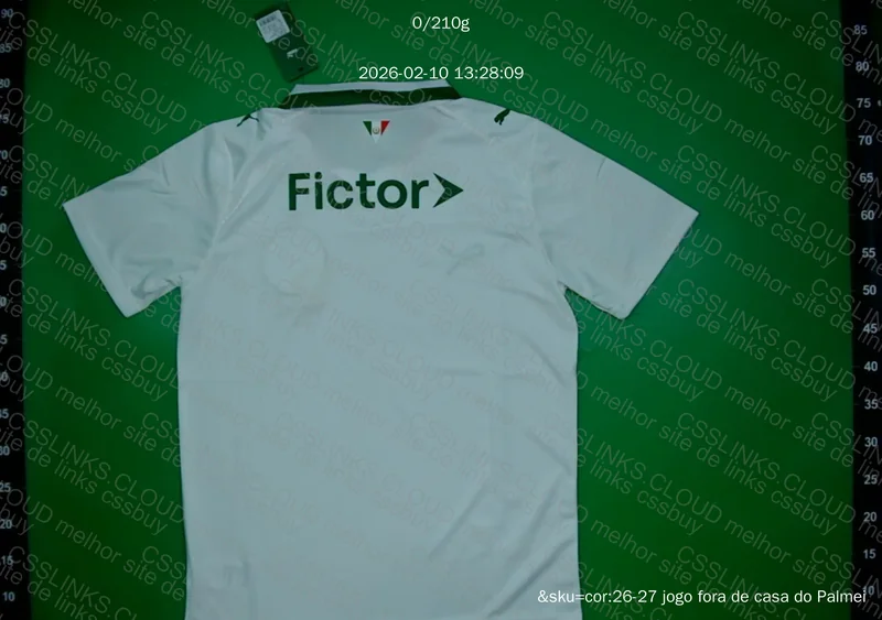 Camisa palmeiras 26