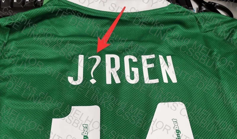 Palmeiras Shirt (Help)