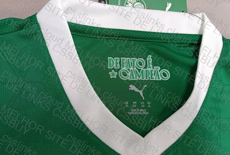 Palmeiras Shirt (Help) 2
