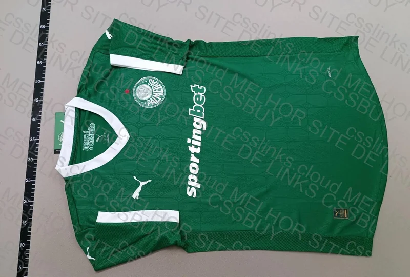 Palmeiras Shirt (Help) 3