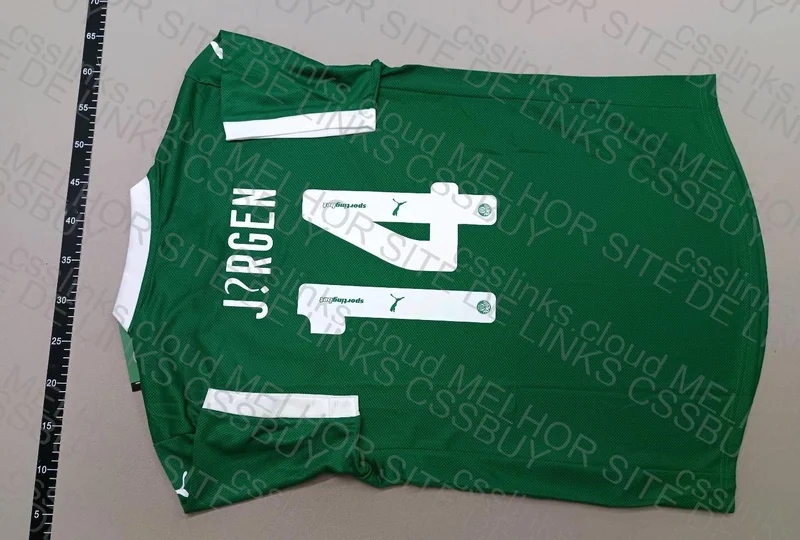Palmeiras Shirt (Help) 4