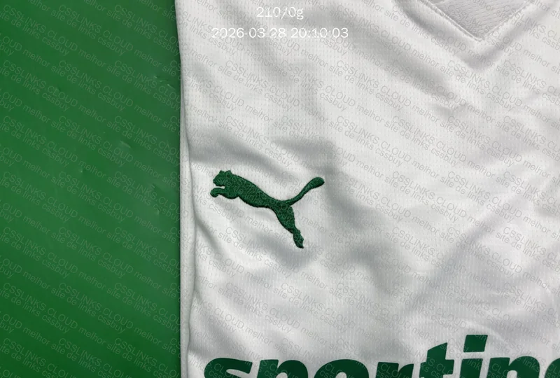 Camisa palmeiras GL ou RL? 3