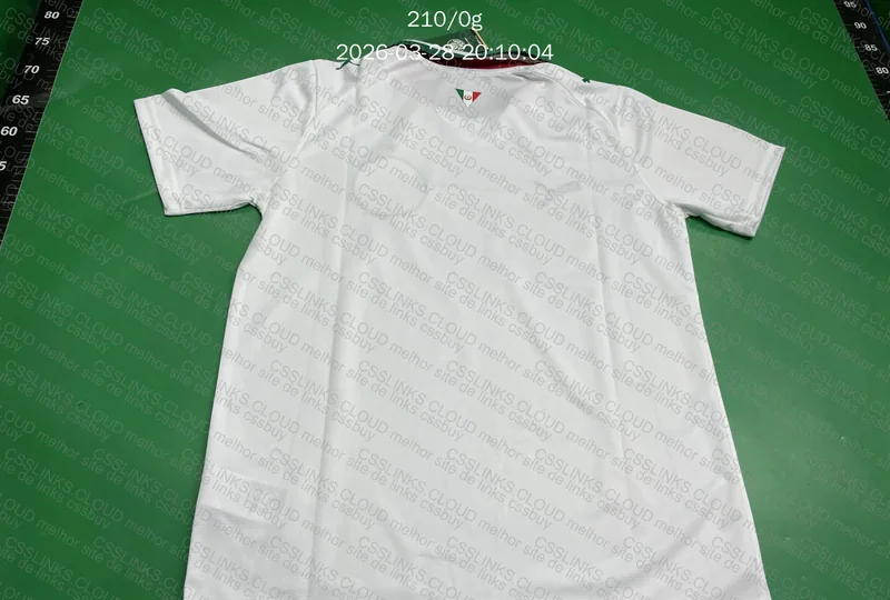 Camisa palmeiras GL ou RL? 5