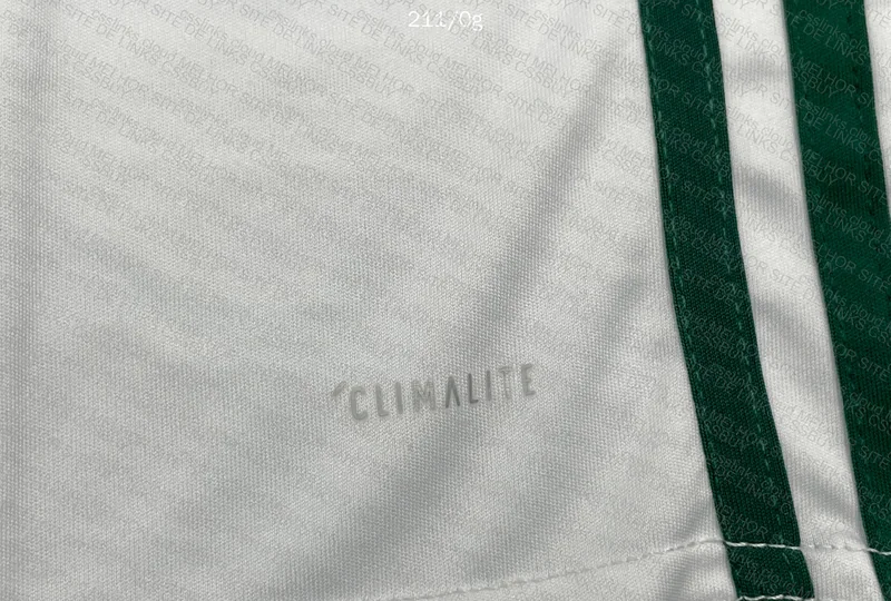 Palmeiras II Jersey 2018 2