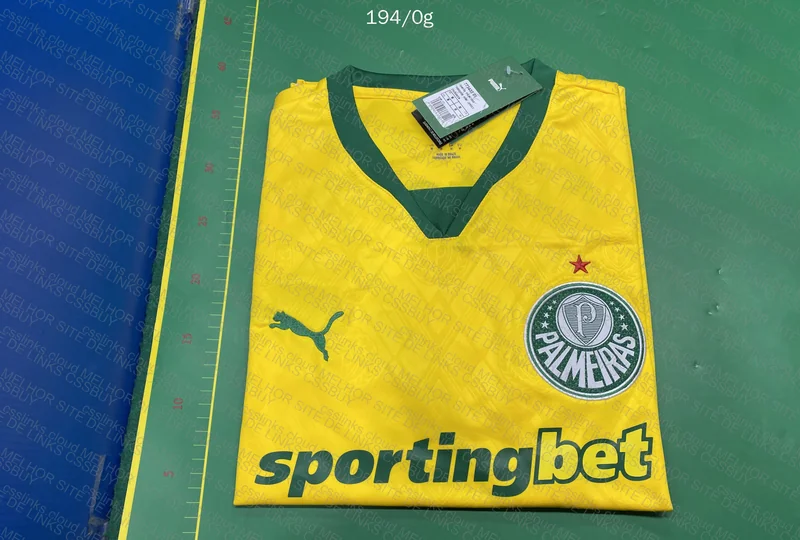 Palmeiras III Jersey