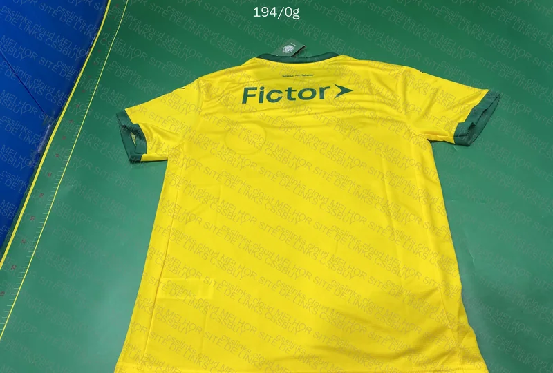 Palmeiras III Jersey 2